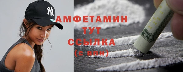 прущие грибы Беломорск