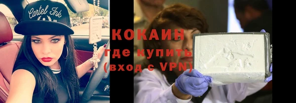 прущие грибы Беломорск