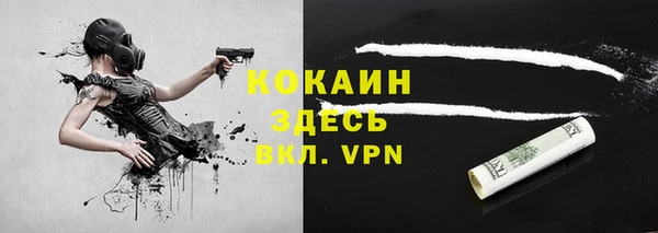 прущие грибы Беломорск