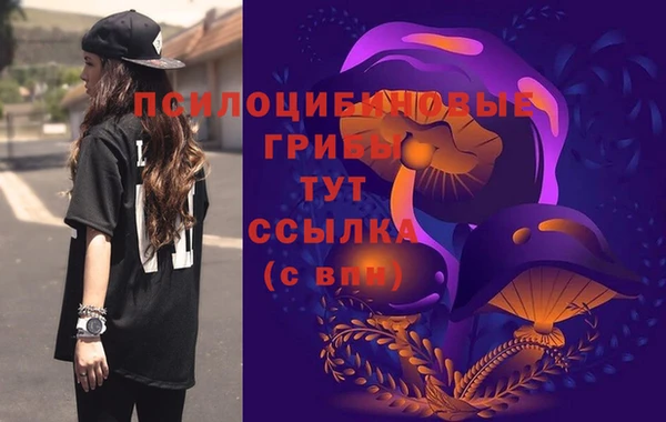 прущие грибы Беломорск