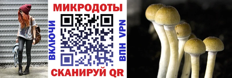 Псилоцибиновые грибы MAGIC MUSHROOMS  Купить где  Дальнегорск 