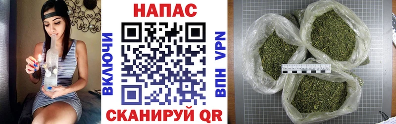 Купить  Дальнегорск  Бошки марихуана план 